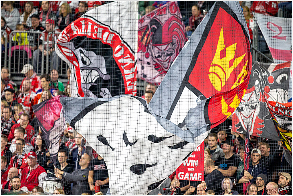 DEL; Koelner Haie - ERC Ingolstadt; Koeln, 03.11.2019